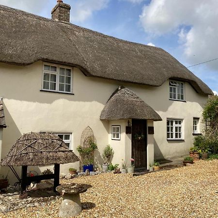 Guest Suite At 31 Little England Milborne Saint Andrew Dış mekan fotoğraf